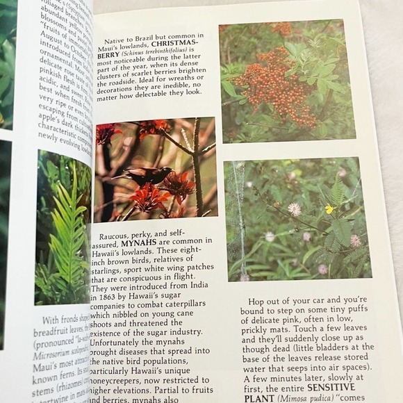 The Ultimate Kauai Guidebook 1995 & Maui's Hana Highway Book Bundle - Picture 12 of 13